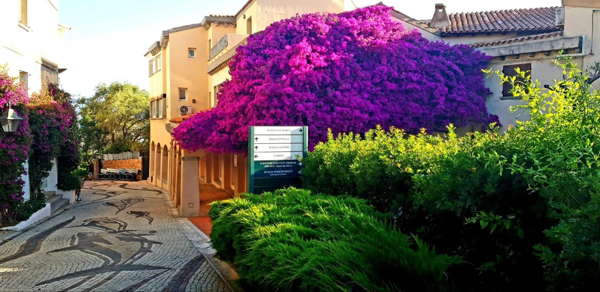 Bouganville Porto Rotondo Exterior foto
